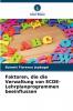 Faktoren die die Verwaltung von ECDE-Lehrplanprogrammen beeinflussen