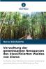 Verwaltung der gemeinsamen Ressourcen des klassifizierten Waldes von Ziama