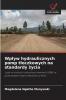 Wpływ hydraulicznych pomp tłoczkowych na standardy życia
