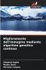 Miglioramento dell'immagine mediante algoritmo genetico continuo