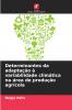 Determinantes da adaptação à variabilidade climática na área de produção agrícola