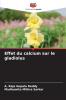 Effet du calcium sur le gladiolus