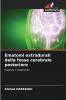Ematomi extradurali della fossa cerebrale posteriore