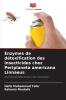 Enzymes de détoxification des insecticides chez Periplaneta americana Linnaeus