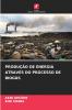 PRODUÇÃO DE ENERGIA ATRAVÉS DO PROCESSO DE BIOGÁS