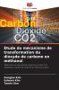 Étude du mécanisme de transformation du dioxyde de carbone en méthanol