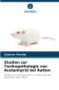 Studien zur Toxikopathologie von Acetamiprid bei Ratten