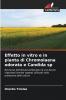 Effetto in vitro e in pianta di Chromolaena odorata e Candida sp