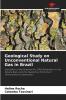 Geological Study on Unconventional Natural Gas in Brazil