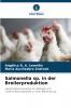 Salmonella sp. in der Broilerproduktion