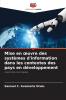 Mise en œuvre des systèmes d'information dans les contextes des pays en développement