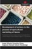 Development of actions in the process of agricultural marketing of beans