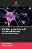 Células estaminais de dentes decíduos esfoliadosMinu