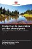 Production de lovastatine par des champignons