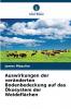 Auswirkungen der veränderten Bodenbedeckung auf das Ökosystem der Weideflächen