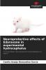 Neuroprotective effects of Edaravone in experimental hydrocephalus