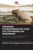 PRÉSENCE D'ENDOPARASITES CHEZ LES CAPYBARAS DU MARANHÃO
