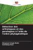 Détection des orthologues et des paralogues à l'aide de l'arbre phylogénétique