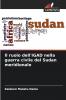 Il ruolo dell'IGAD nella guerra civile del Sudan meridionale