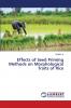 Effects of Seed Priming Methods on Morphological Traits of Rice