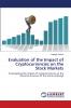 Evaluation of the Impact of Cryptocurrencies on the Stock Markets