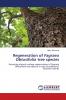 Regeneration of Fagraea Obtusifolia tree species