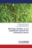 Moringa oleifera as an apoptosis inducer for colorectal cancer