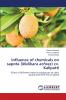 Influence of chemicals on sapota (Malikara achras) cv. Kalipatti