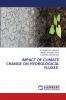 IMPACT OF CLIMATE CHANGE ON HYDROLOGICAL FLUXES