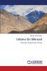 Urbans On Silkroad