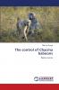 The control of Chacma baboons