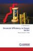 Financial Efficiency in Power Sector