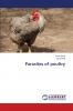Parasites of poultry