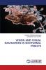 VISION AND VISUAL NAVIGATION IN NOCTURNAL INSECTS