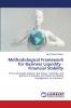 Methodological Framework for Business Liquidity - Financial Stability