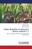 Foliar Nutrition in Arecanut (Areca catechu L.)