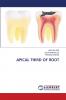 APICAL THIRD OF ROOT