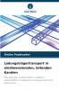 Ladungsträgertransport in eindimensionalen leitenden Kanälen