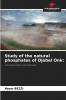 Study of the natural phosphates of Djebel Onk