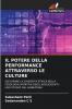 IL POTERE DELLA PERFORMANCE ATTRAVERSO LE CULTURE