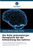 Die Rolle glutamaterger Rezeptoren bei der Entwicklung des Gehirns
