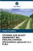 STUDIEN ZUR BLAST-KRANKHEIT BEI PERLMILCHHIRSE [Pennisetum glaucum (L.) R.Br]