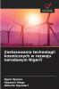Zastosowania technologii kosmicznych w rozwoju narodowym Nigerii