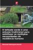 O telhado verde é uma solução tradicional para satisfazer as múltiplas necessidades da residência humana