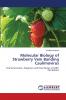Molecular Biology of Strawberry Vein Banding Caulimovirus