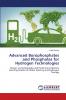 Advanced Borophosphates and Phosphates for Hydrogen Technologies