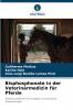 Bisphosphonate in der Veterinärmedizin für Pferde