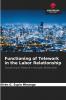 Functioning of Telework in the Labor Relationship