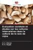 Évaluation variétale et études sur les cultures intercalaires dans la culture de la noix de cajou