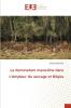 La domination masculine dans L'Ampleur du saccage et Bilqiss